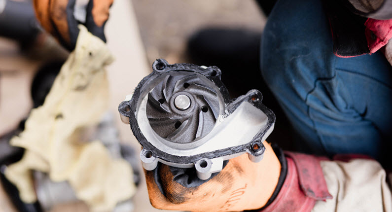 Jaguar Water Pump Inspection